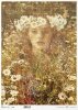 twarz kobiety, rośliny, rumianek* female face, plants, camomile* Weibliches Gesicht, Pflanzen, Kamille* rostro femenino, plantas, manzanilla